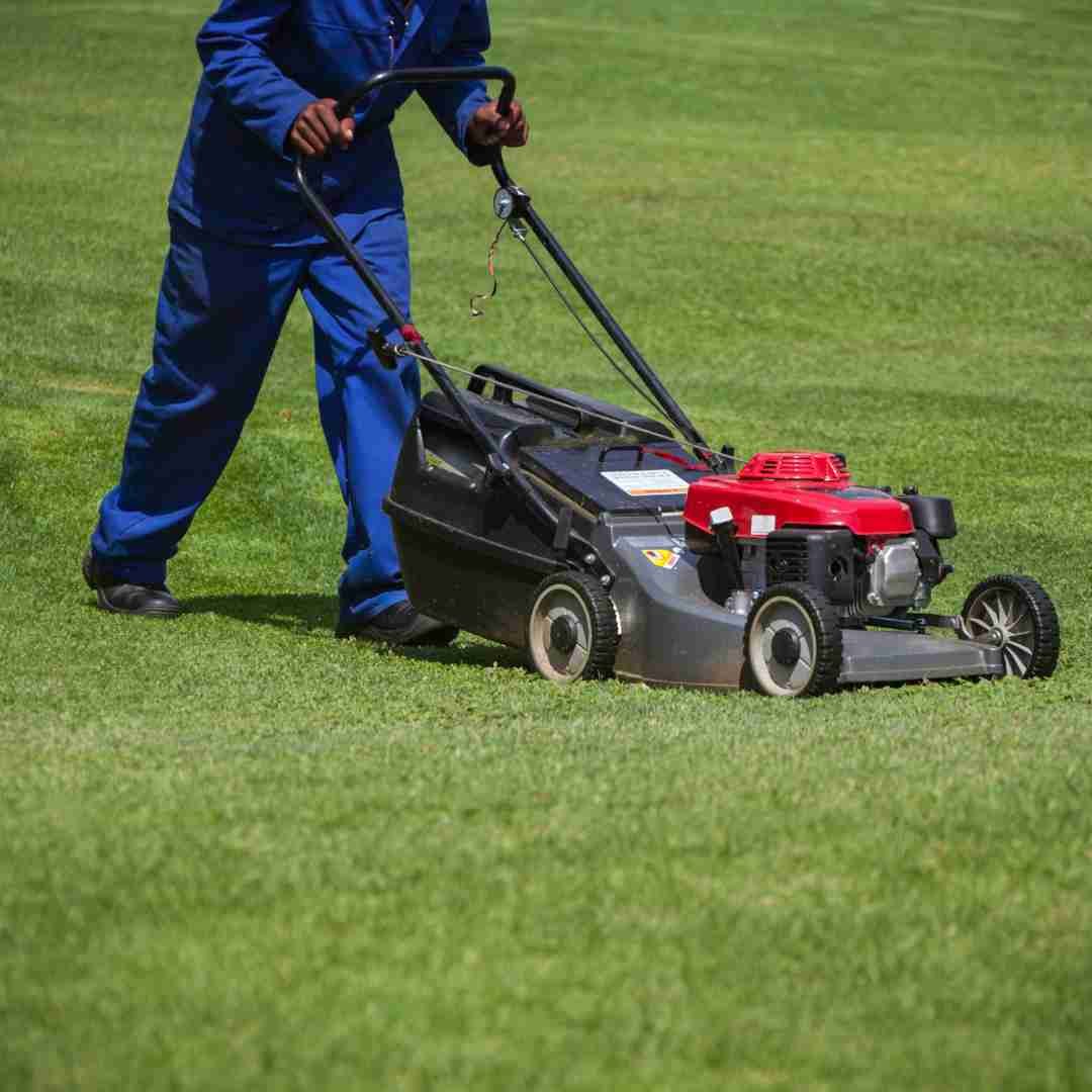 Grass Cutting Edinburgh