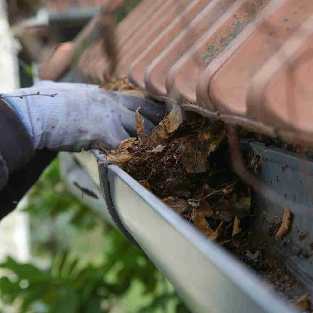 Handyman / Odd Jobs Edinburgh
